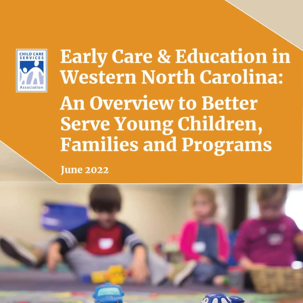 Dogwood-Health-Trust-Report-research-FINAL-edit-scaled-1